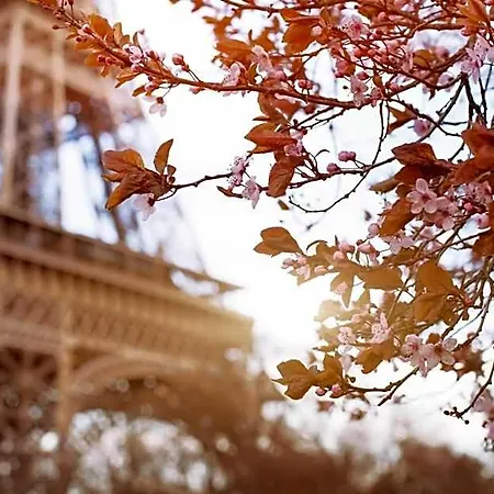 Timhotel Tour Eiffel Paris