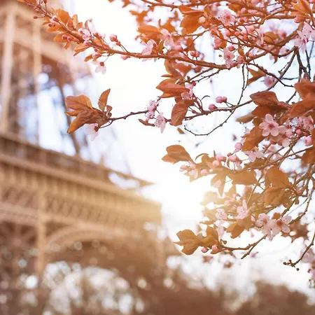 Timhotel Tour Eiffel Parigi